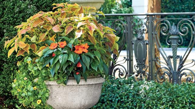 A winding steep staircase with stone steps and iron rails against the  background of beautiful climbing plants Stock Photo