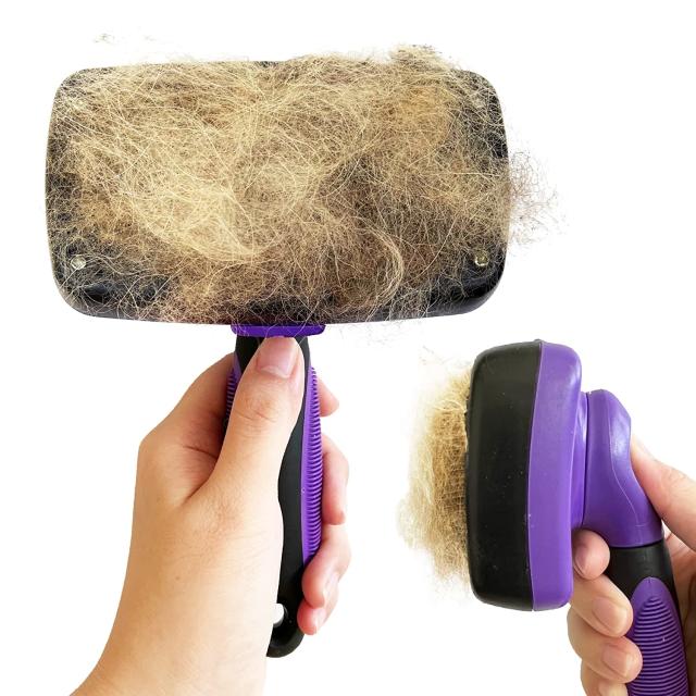 10 Best Dog Brushes for Shedding