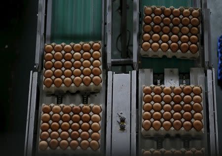 Eggs are carried on conveyor belts for packaging at Deqingyuan ecological farm on the outskirts of Beijing, China, September 10, 2015. REUTERS/Kim Kyung-Hoon