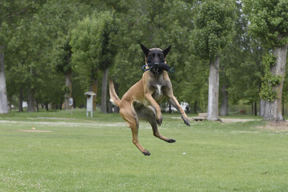 (Photo by Jorge Sanz / SOPA Images/Sipa USA)(Sipa via AP Images)