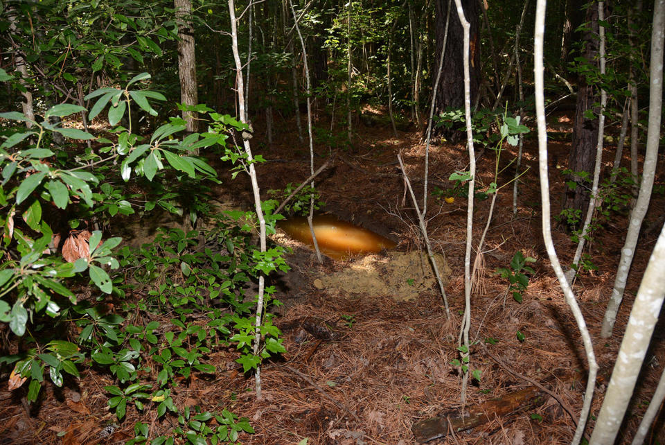 A photo of a site in Jacksonville, North Carolina, where in June 2018 a Marine Corps sergeant dug up explosives he had stolen from nearby Camp Lejeune and then buried. (Naval Criminal Investigative Service via AP)