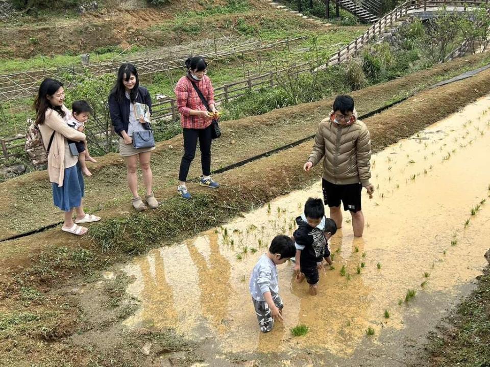 水稻插秧活動。   圖：台北市政府工務局大地工程處／提供