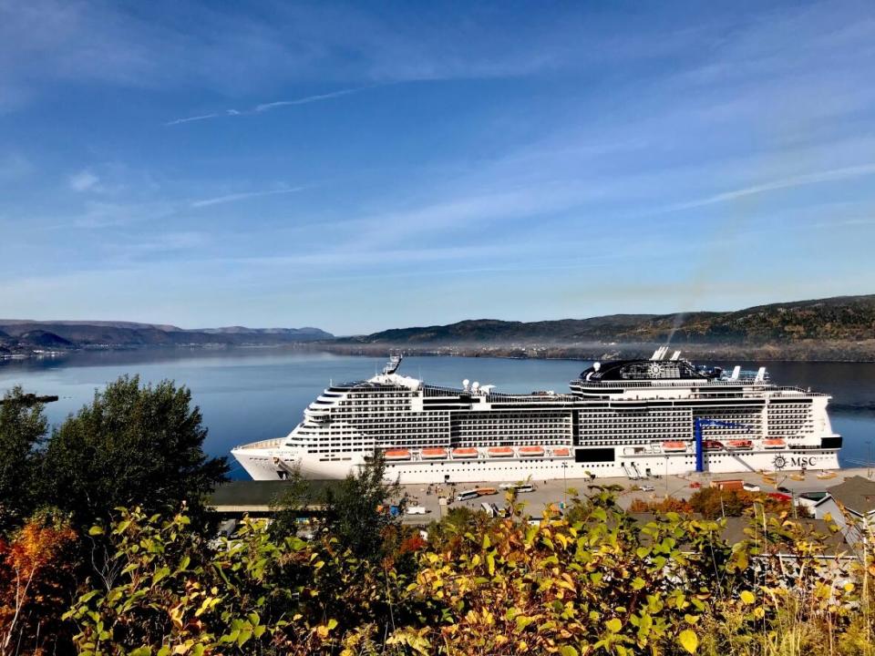 Cruise ships will return to the Port of Corner Brook beginning on May 16. The city will see over 42,000 passengers dock from May to November. (Lindsay Bird/CBC - image credit)