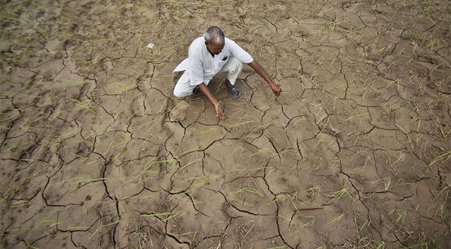 In this August 3, 2012 file photo, an Indian farmer shows a dry, cracked paddy field in Ranbir Singh Pura 34 kilometres from Jammu, India. Photo: AP.