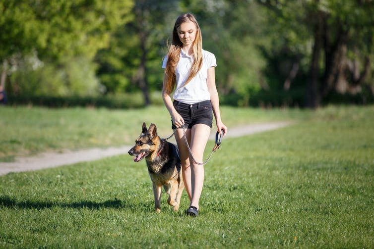 <span class="caption">Avoid walking your dog during the hottest part of the day.</span> <span class="attribution"><span class="source">Shutterstock</span></span>