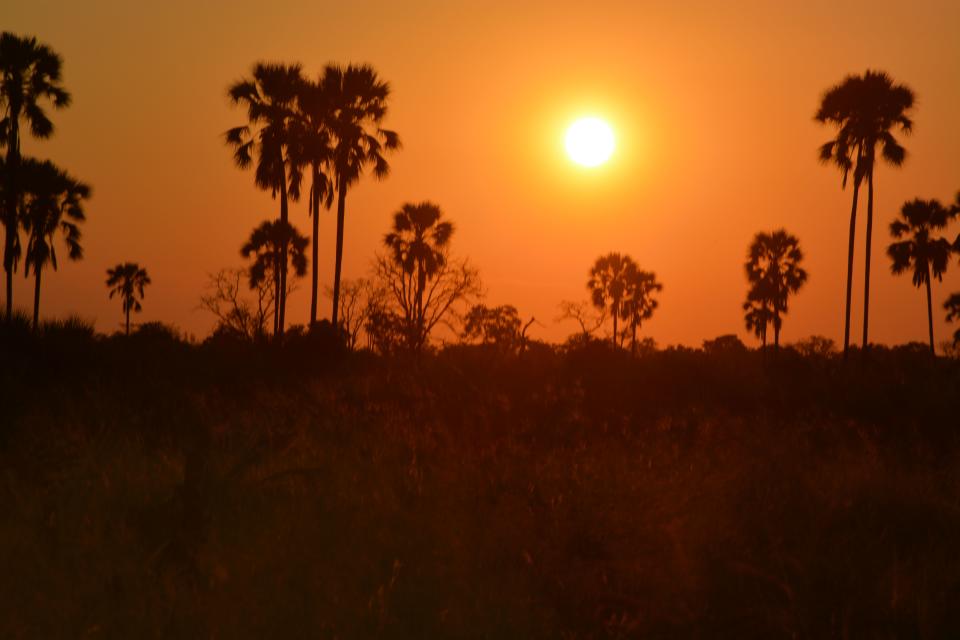 This March 1, 2013 photo shows a sunset in Botswana's Okavango Delta. Trees silhouetted against a bright orange sky lit by a searing white disc is a typical sight for sunsets in the region, a popular destination for animal-watching safaris. (AP Photo/Charmaine Noronha)