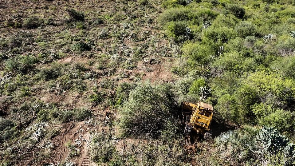 Desforestaci&#xf3;n en el Chaco seco de Argentina. Un tractor con cadenas arrastra y destruye toda la vegetaci&#xf3;n.