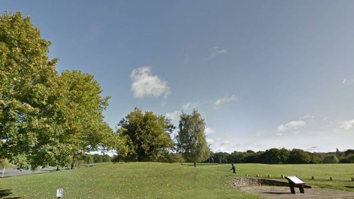 The boy was found injured in Shipley Country Park  (Google Maps)