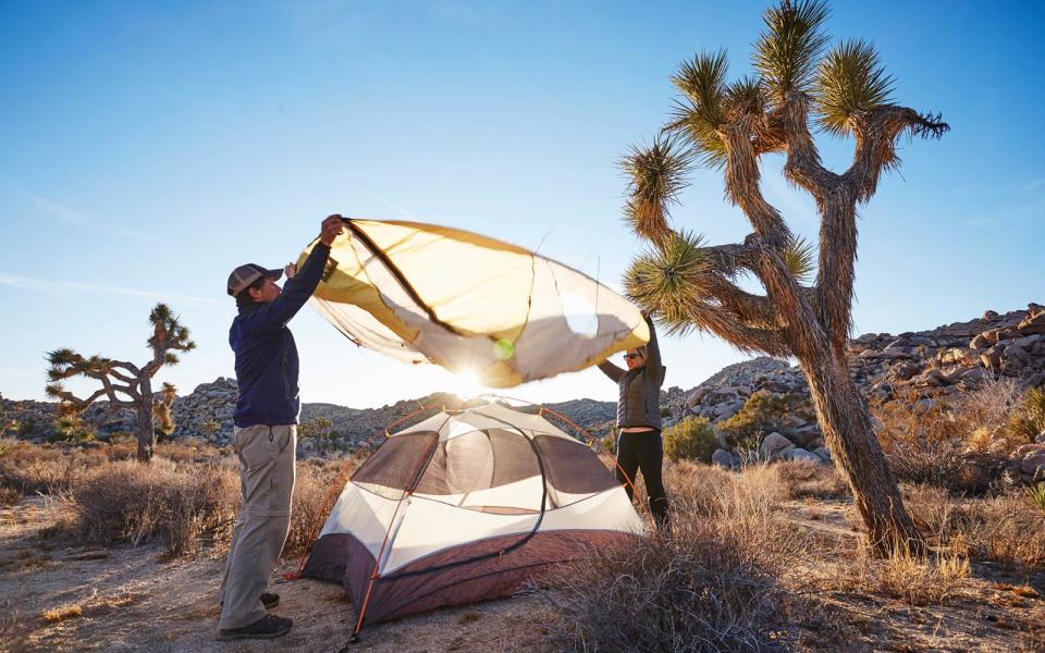 Joshua Tree State Park, California