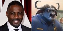 <p>Idris Elba voiced the buffalo chief of police in the 2016 movie<em> Zootopia</em> and a bullying sea lion in <em>Finding Dory</em> the same year. If we’re counting live-action adaptations, he also gave Shere Khan his malicious purr in <em>The Jungle Book </em>in 2016.</p>