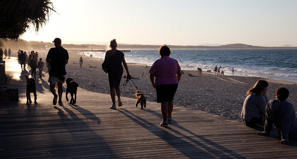 Queenslanders pet owners are being urged to exercise caution when walking their dogs as the weather heats up. Image: Getty