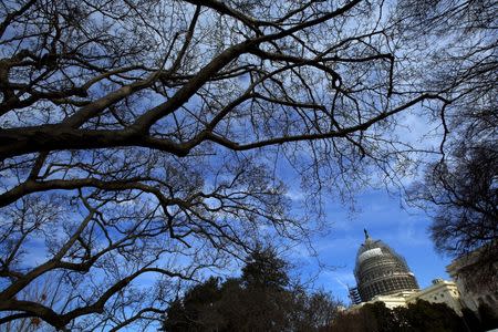 The U.S. Capitol is seen during a sunny day in Washington, January 21, 2016. REUTERS/Carlos Barria