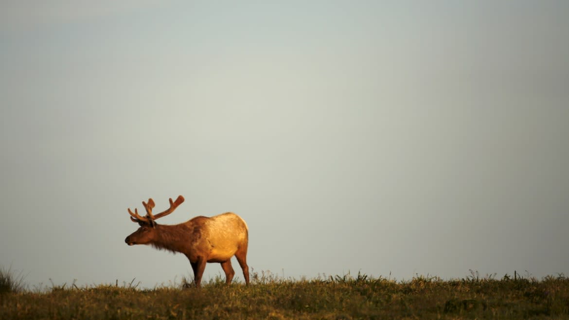 Robert Galbraith/Reuters