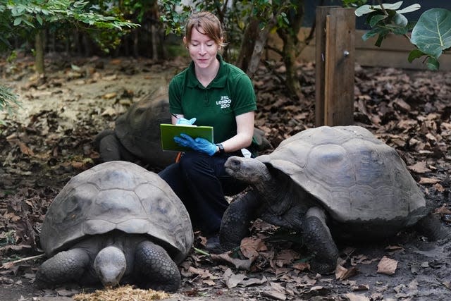 ZSL London Zoo annual stocktake