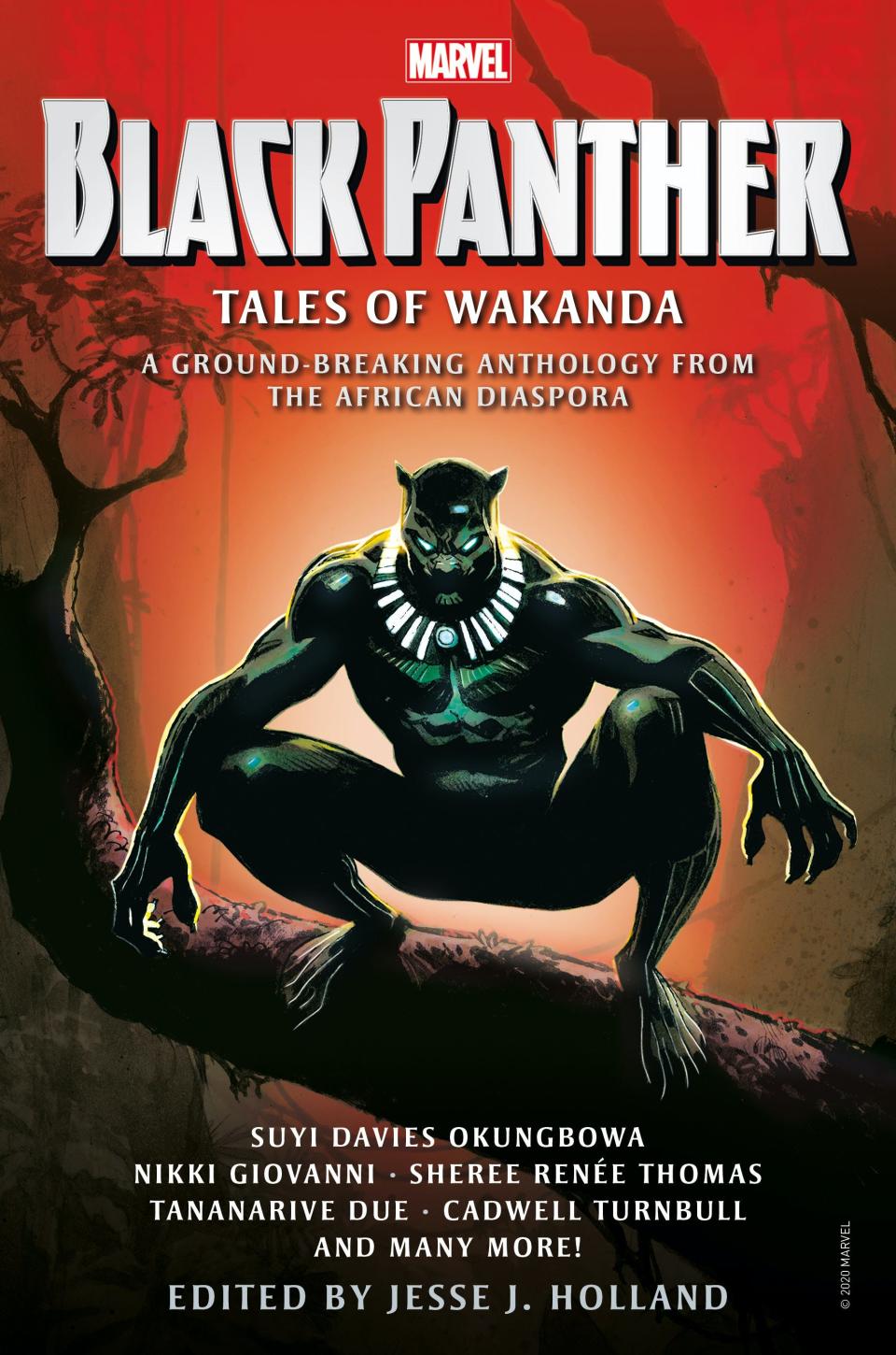 'Black Panther: Tales of Wakanda' is a collection of short stories based in the Marvel Comics fictional African nation.