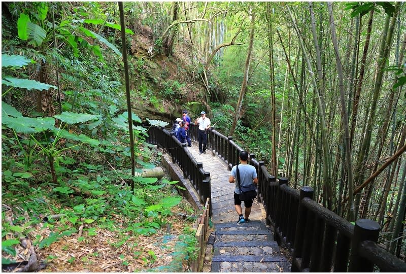 苗栗｜大湖伯公潭古圳道