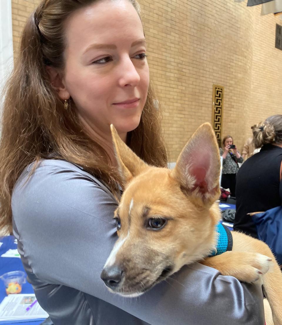 Bella cuddles with Emily Hutchings, a volunteer with the North East Animal Shelter.