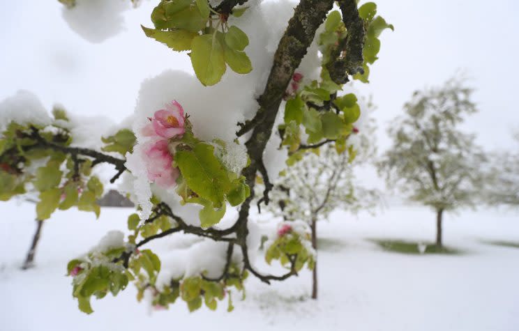 Der Winter ist auch im bayerischen Altenstadt zurück (Bild: dpa)