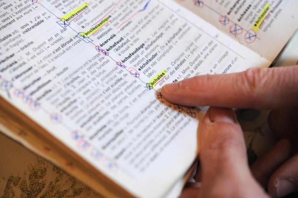 (Photo d'illustration) Un dictionnaire français.  - FRED TANNEAU