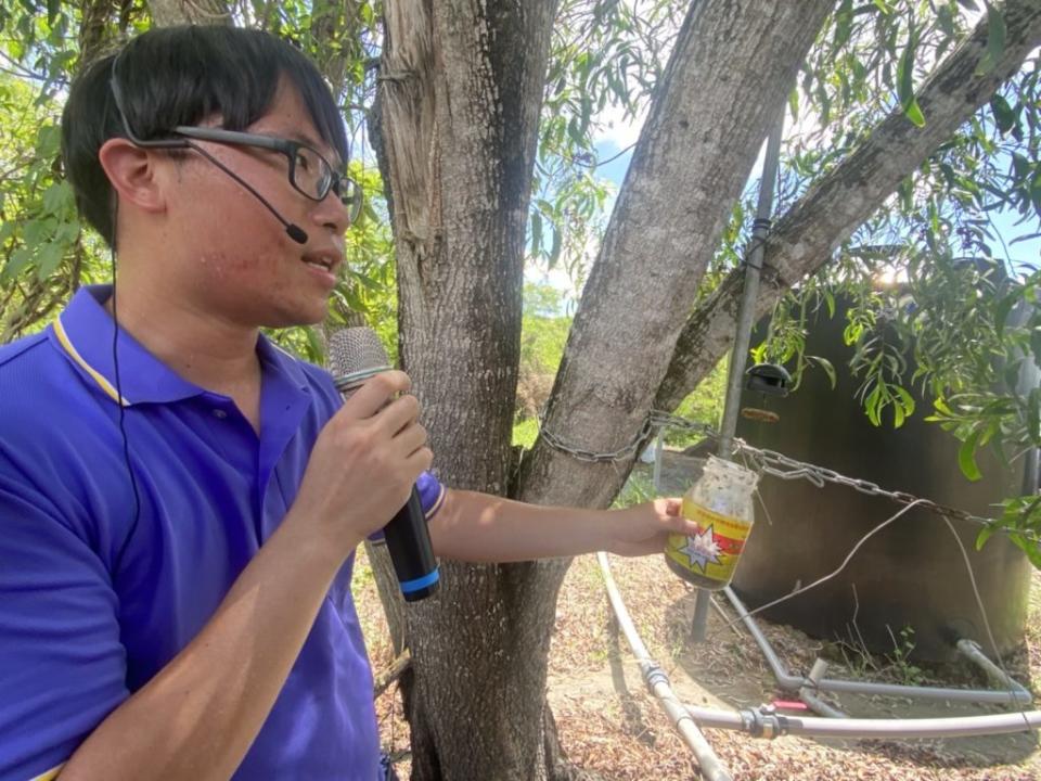 玉井青農林易辰將所學作物有害生物綜合管理(IPM)運用於自家果園的管理。（記者張淑娟攝）