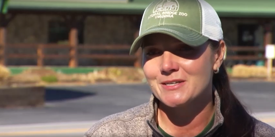 Gretchen Mogensen was in tears when she recounted how Zeus the tiger was euthanised during the search (WSLS)