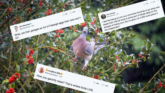 Anti-bird tree spikes: we love cars so much, we destroy nature for