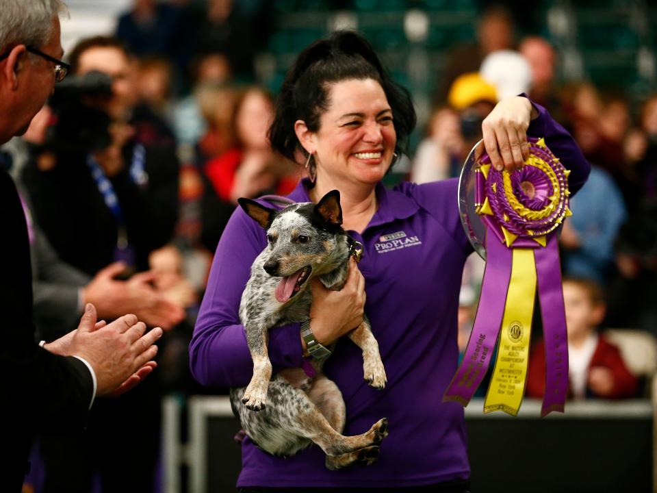 Plop with his owner Lisa Topol.