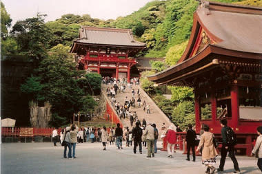 Tsurugaoka Hachimangu Shrine, Japan (Ryuji Yamamoto)