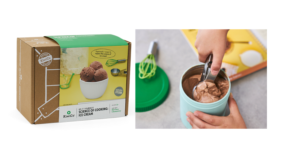 Best gifts for ice cream lovers: Science kit