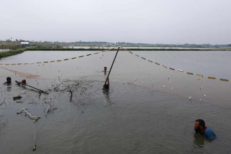 Locals catch fish at the Sundarbans, the world’s largest mangrove forest, near the Maitree Super Thermal Power Project near in Rampal, Bangladesh, Wednesday, Oct. 19, 2022. A power plant will start burning coal as part of Bangladesh’s plan to meet its energy needs and improve living standards, officials say. (AP Photo/ Al-emrun Garjon)