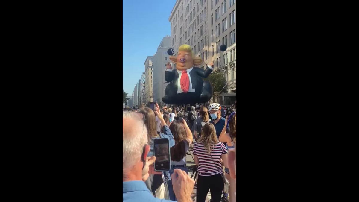 Giant Inflatable Trump Rat Makes Appearance Outside White House