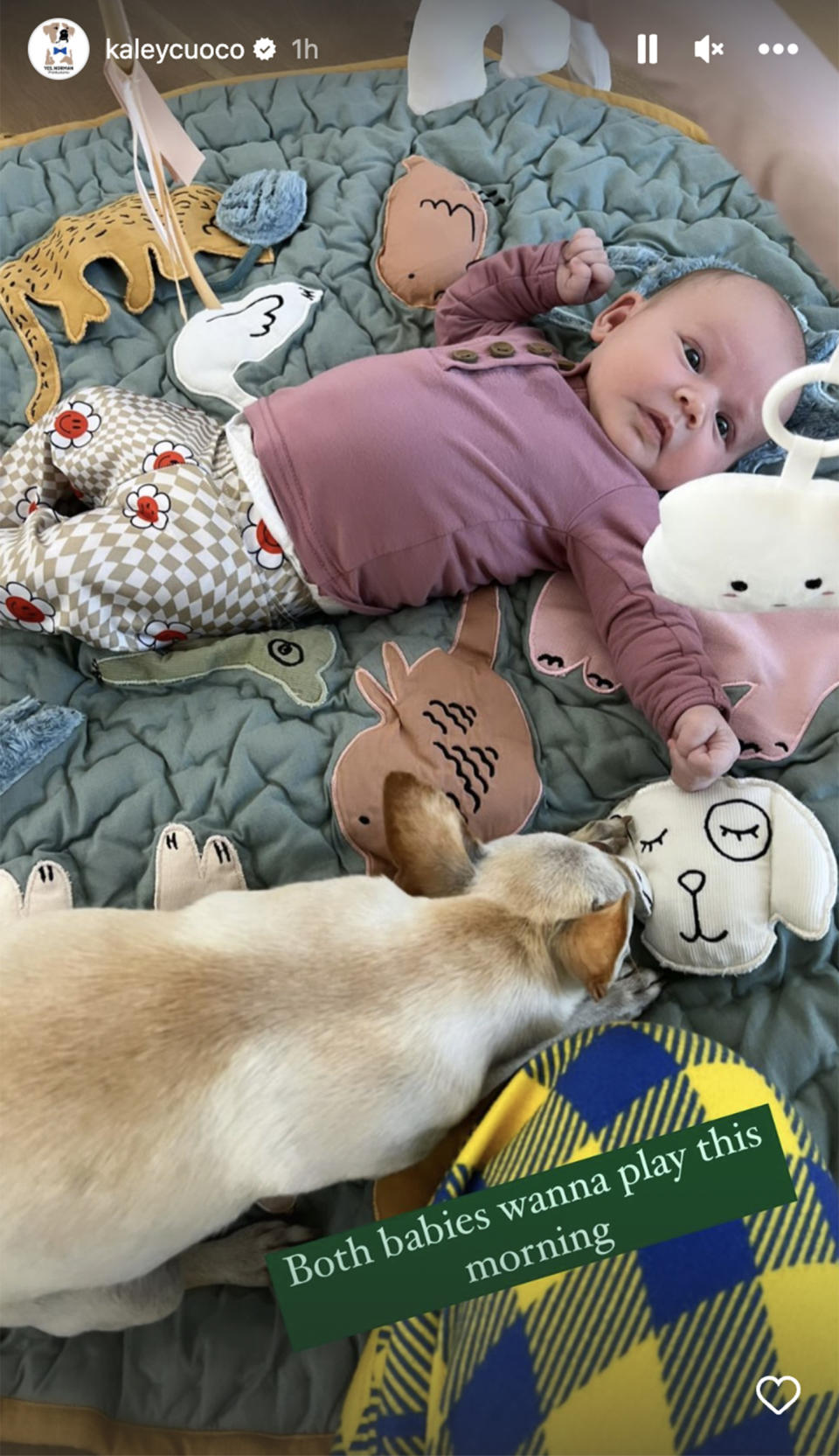 Kaley Cuoco's baby daughter Matilda stared up at shapes on a mobile while lying next to one of her parents' dogs. (@kaleycuoco via Instagram)