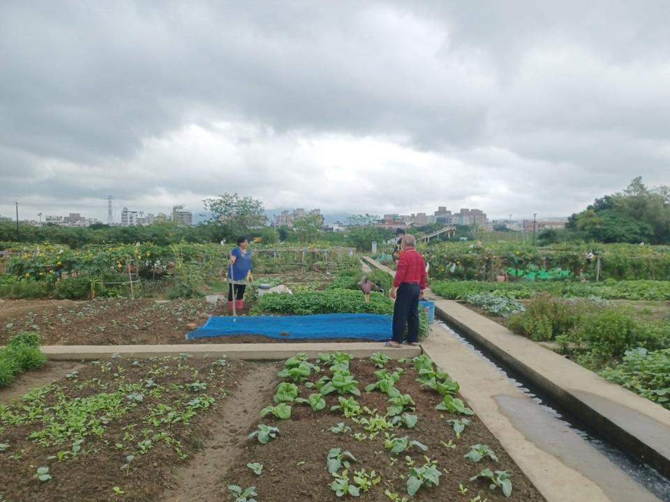 農友間聊天。   圖：新北市高灘處提供