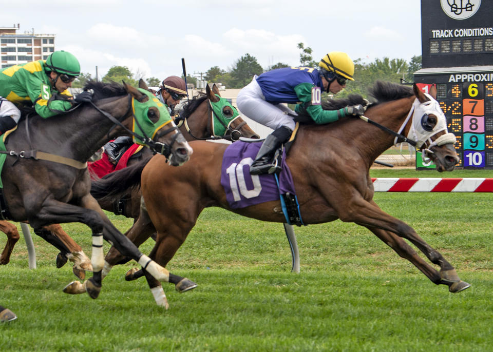 West Newton, a 6-year-old gelding, with jockey Forest Boyce, rallies from sixth place to win by a half-length at Pimlico on Saturday, Sept. 10, 2022 in Baltimore. The horse bred by Queen Elizabeth II won the race two days after the British monarch died following seven decades on the throne. (Jerry Dzierwinski/Pimlico via AP)