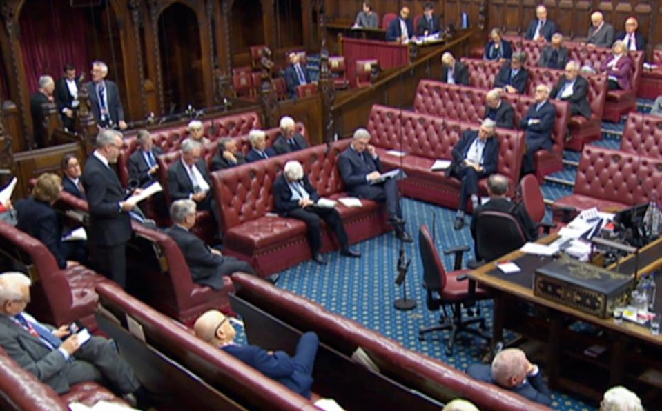 House of Lords debate the report by their international treaties committee relating to the Rwanda treaty