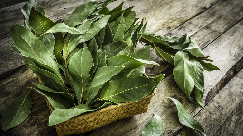 Fresh bay leaves in bowl