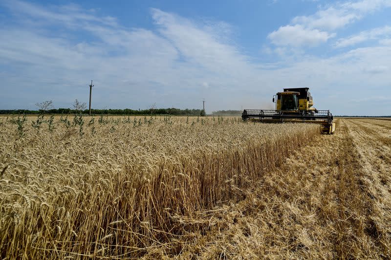 FILE PHOTO: Wheat harvesting in Zaporizhzhia region