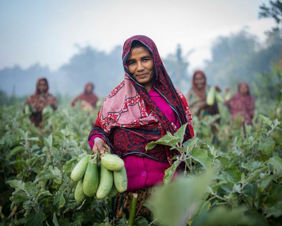 Aubergines are a staple in the community of Ukhiya in Cox’s Bazar (WFP/Sayed Asif Mahmud)