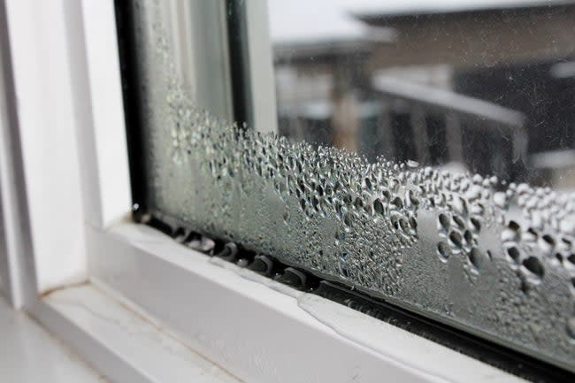Condensation building up along the bottom of a house window.