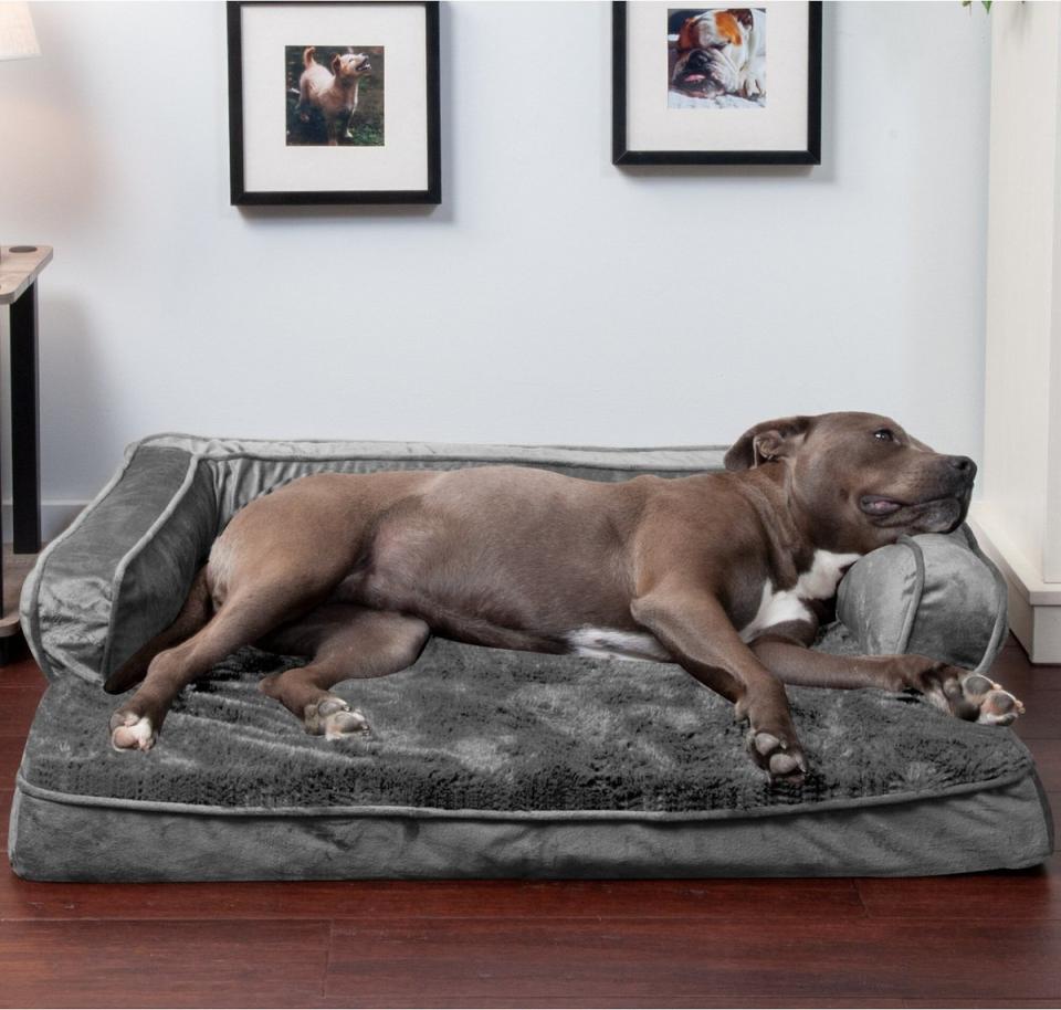 dog couches furhaven plush velvet