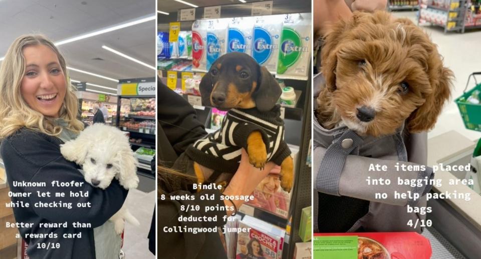 Woolworths worker rates dogs that visit store on TikTok