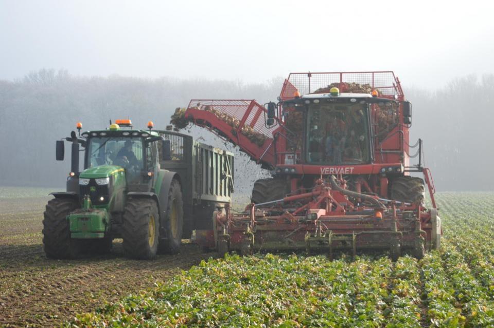 Eastern Daily Press: Sugar beet harvesting in Norfolk