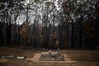 Graves are seen next to burnt bushland at a cemetery in the village of Mogo