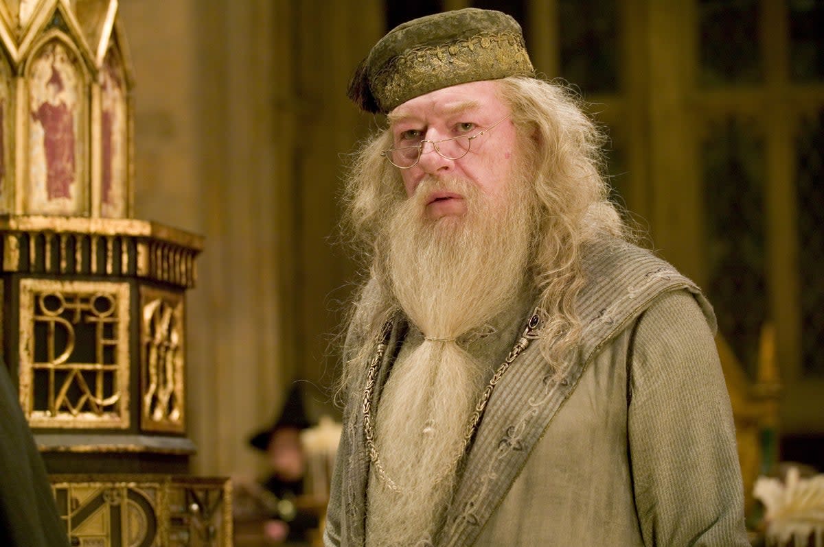 Michael Gambon as Albus Dumbledore  (Murray Close)