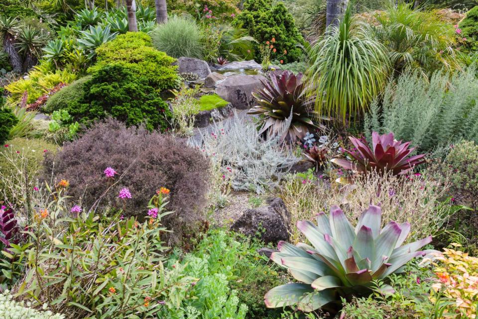 Ayrlies Garden, New Zealand