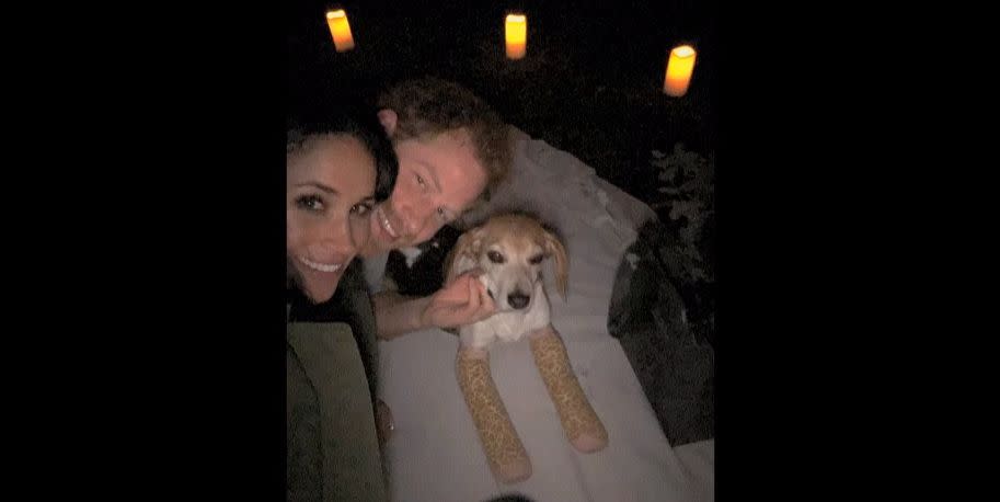 prince harry and meghan markle with beagle guy after proposal