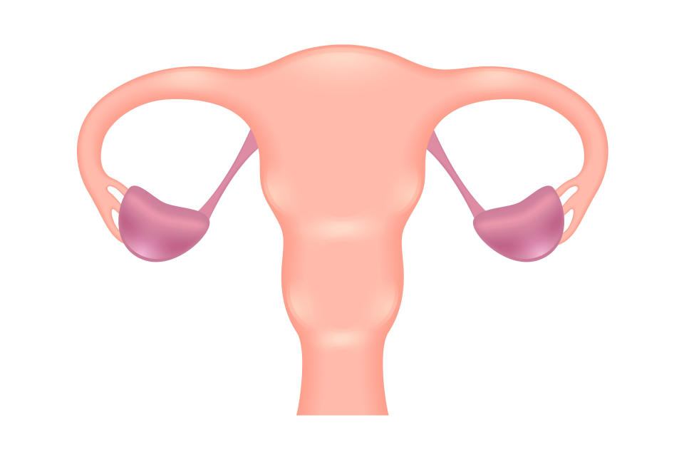 <strong>4. Most women with blocked fallopian tubes are completely unaware they may have had a prior pelvic infection.</strong>  About 10 percent of infertility cases are due to tubal disease, either complete blockage or pelvic scarring causing tubal malfunction. One major cause of tubal disease is a prior pelvic infection from a sexually transmitted disease such as chlamydia. These infections can cause so few symptoms that you may be completely unaware your tubes are affected.   This is why fertility physicians will order a dye test of the tubes, called a hysterosalpingogram (HSG), if you have been trying and failing to conceive for 6 months or longer.  