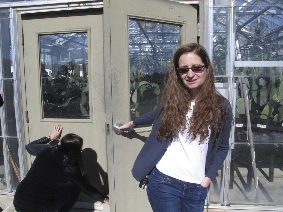 Beth Leger, a plant ecologist at the University of Nevada, Reno, opens the door to a campus greenhouse where she and graduate assistant Jamey McClinton, left, are growing Tiehm's buckwheat in this photo taken on Feb. 10, 2020 in Reno, Nevada. Their research is funded by an Australian mining company that wants to mine lithium in the high desert 200 miles southeast of Reno, the only place the rare wildflower is known to exist in the world. (AP Photo/Scott Sonner)