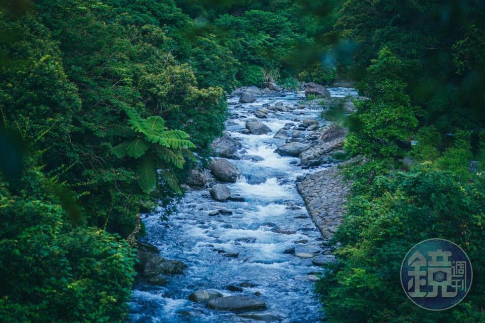 步道上的觀景台可遙望溪水悠悠流動。