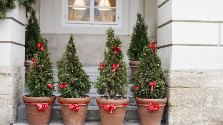 outdoor christmas planters trees